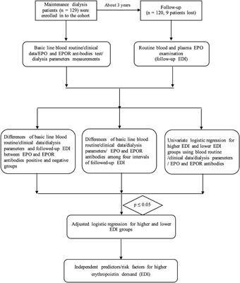 Baseline Soluble Anti-erythropoietin Antibody Level Is an Independent Associated Factor for Follow-Up Erythropoietin Demand in Maintenance Dialysis Patients With End-Stage Renal Disease: A Prospective Cohort Study